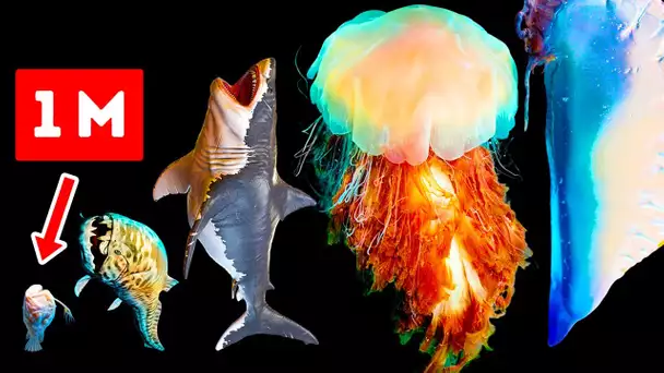 De Dangereuses Créatures Marines Plus Grandes que le Mégalodon