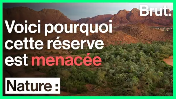 Une immense réserve naturelle menacée par un projet d'exploitation