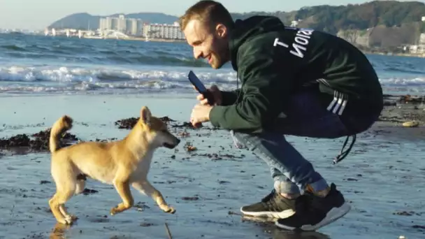 1 MOIS APRÈS, JE REVOIS MON CHIEN