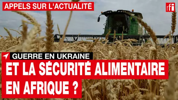 Guerre en Ukraine : inquiétude pour la sécurité alimentaire en Afrique • RFI