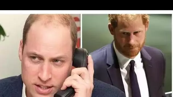 Harry "a fait face à la colère de William furieux" après que l'accusation d'intimidation de Meghan a