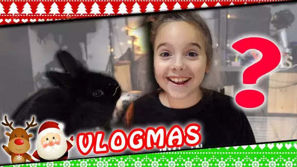 VLOGMAS 14 : Cadeau de Noël pour le Lapinou !?