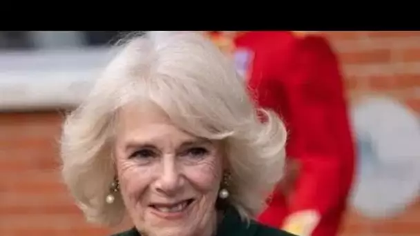 La reine Camilla accueillera trois membres de la famille royale pour sensibiliser à la viole.nce con