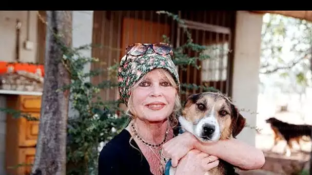 Brigitte Bardot : "Je suis confinée depuis 10 ans"