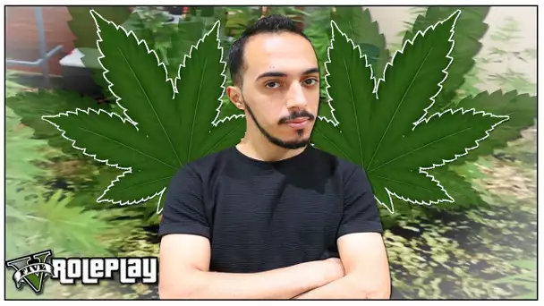 GTAV RP - ON CULTIVE ET VEND DU CANNABIS !!