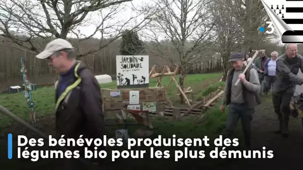 Des bénévoles produisent des légumes bio pour les plus démunis. Edition An Taol Lagad du 25 avril