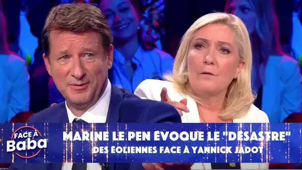 Marine Le Pen évoque le "désastre" des éoliennes face à Yannick Jadot