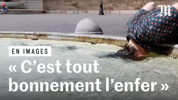 « C'est tout bonnement l'enfer » : une violente canicule s'installe dans plusieurs pays