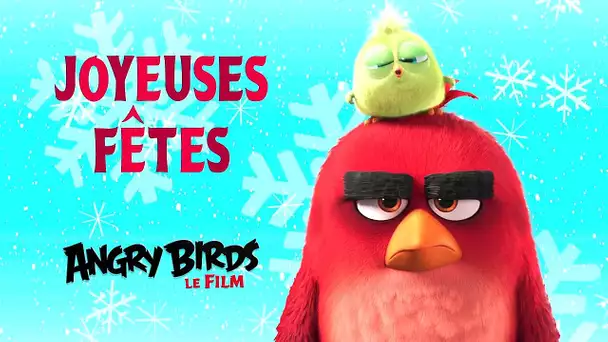 Angry Birds - Meilleurs Voeux