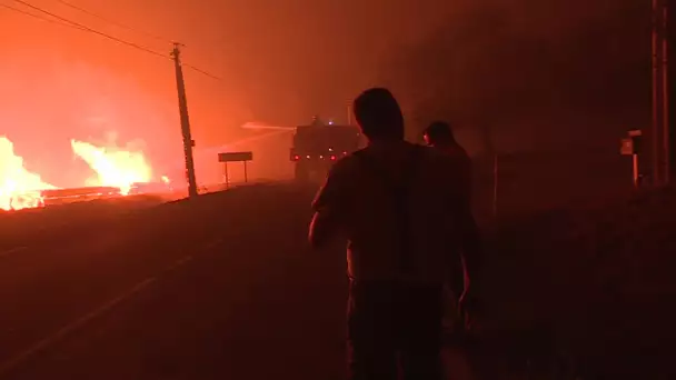 Incendie dans le massif des Maures (Var) : l'impuissance des riverains de Cogolin face aux flammes