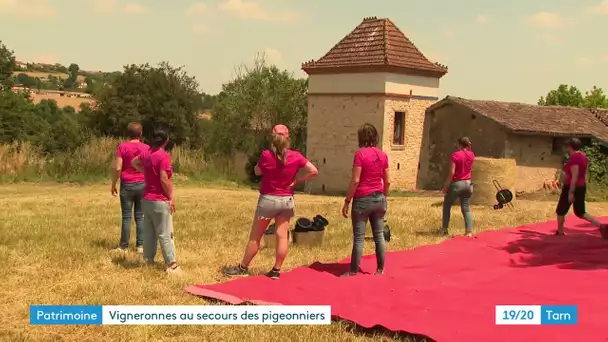 Les Z'elles Gaillacoises au secours des pigeonniers