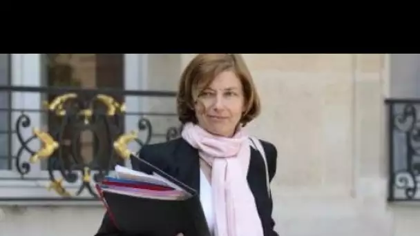 Florence Parly: « Depuis le début de l’année, Barkhane a neutralisé plus de 130 terroristes »