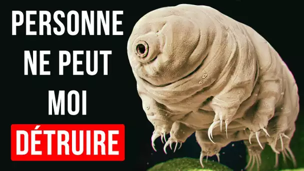 Rencontrez les créatures immortelles de la Terre : Tardigrade !