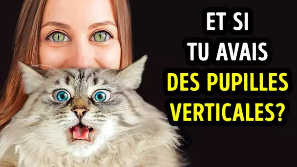 Et si tu Avais les Pupilles Étroites d’un Chat ?