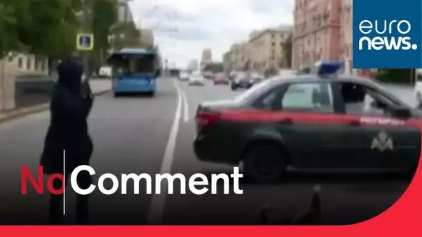 A Moscou, les canards traversent, la circulation s'arrête