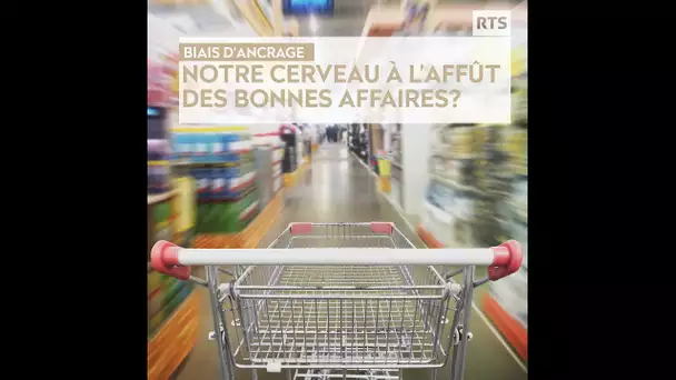 Pourquoi se trompe-t-on quand on croit faire de bonnes affaires? - Dans la tête de