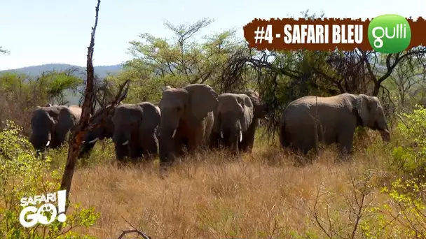 SAFARI GO S2 avec Carole Rousseau sur Gulli ! E4 #2 - En Safari avec les Bleus !