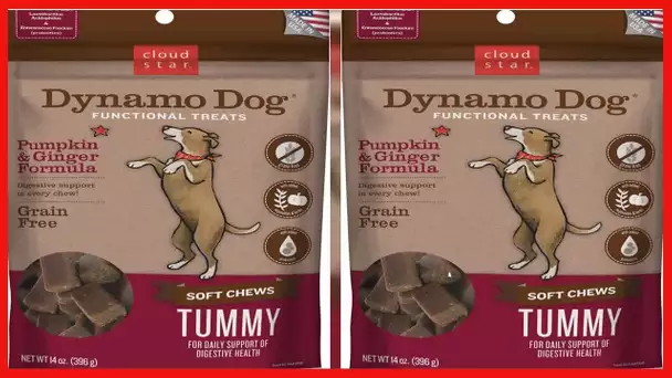 Cloud Star Dynamo Dog Tummy Treats – Soft & Chewy Probiotics Support for Dogs (14 oz. Pumpkin