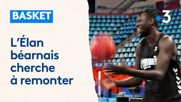 Basket : l'Élan béarnais relégué en Pro B, "si on ne remonte pas là, ça va être très compliqué"
