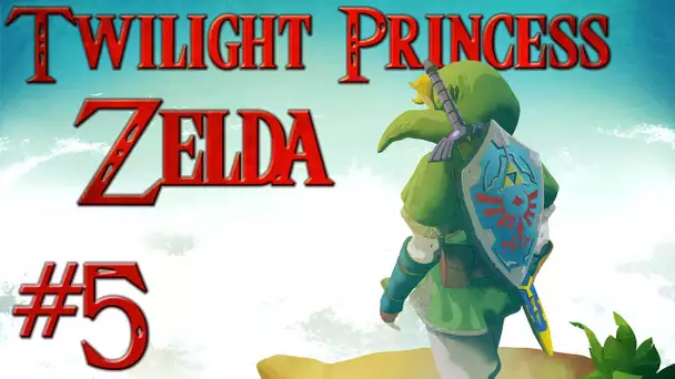 Zelda Twilight Princess : Temple Sylvestre (Face Commentary) | Episode 5 - Let&#039;s Play