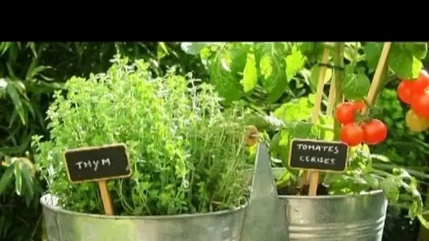 Jardins : un marché florissant - Combien ça coûte ?
