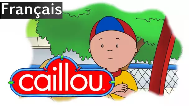 Caillou FRANÇAIS - Clémentine l&#039;imitatrice (S05E18) | conte pour enfant | Caillou en Français