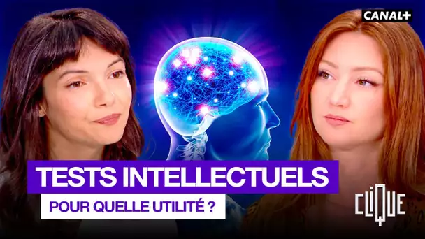 QI, HPI… Des tests vraiment utiles ? - CANAL+