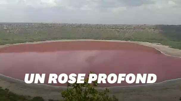 En Inde, ce lac bleu turquoise est devenu rose et personne ne sait pourquoi