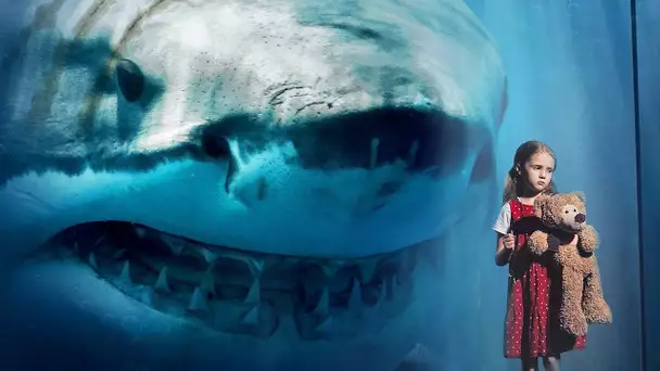 10 VIDÉOS DE MEGALODONS FILMÉS PAR CAMÉRA EN DIRECT DANS LA VRAIE VIE !