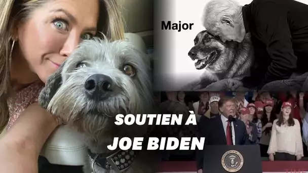 Jennifer Aniston et son chien ont choisi leur camp pour la présidentielle américaine