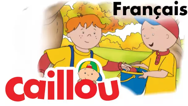 Caillou FRANÇAIS - Caillou va au magasin  (S04E14) | conte pour enfant | Caillou en Français