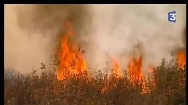 Dramatiques incendies en Espagne et au Portugal