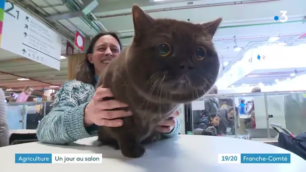 Une journée au salon de l'agriculture / 28 février