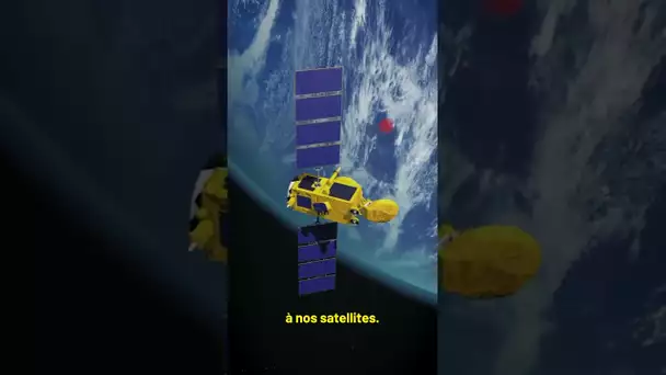Les éléphants de mer, les moules et les satellites