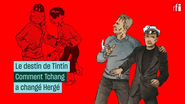 Le destin de Tintin : comment Tchang a changé Hergé • RFI