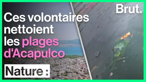 Ces volontaires nettoient les plages d'Acapulco