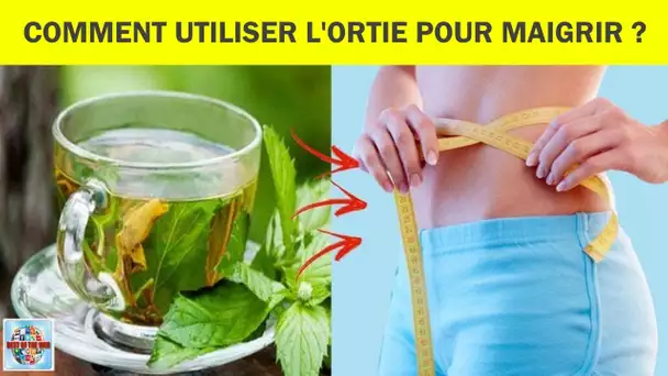 Comment utiliser l'ortie pour maigrir & Recette d'ortie pour maigrir