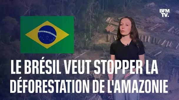 Déforestation: le plan du président Lula pour sauver la forêt amazonienne