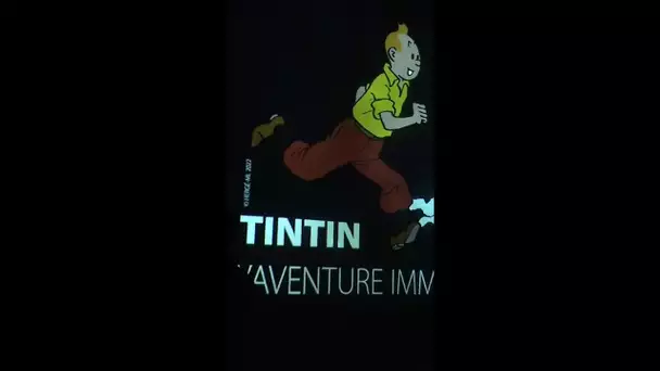 "Tintin, l'aventure immersive": ce qui vous attend à l'Atelier des Lumières à Paris
