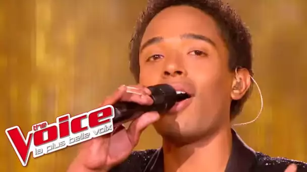 Aretha Franklin - Think | Stéphan Rizon | The Voice France 2012 | Finale