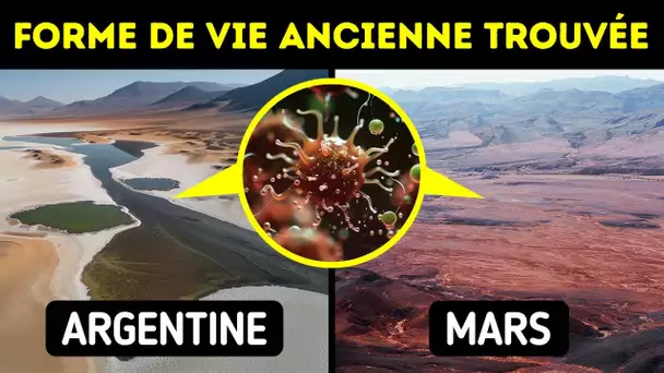 Des scientifiques ont découvert un monde préhistorique inconnu sur Terre