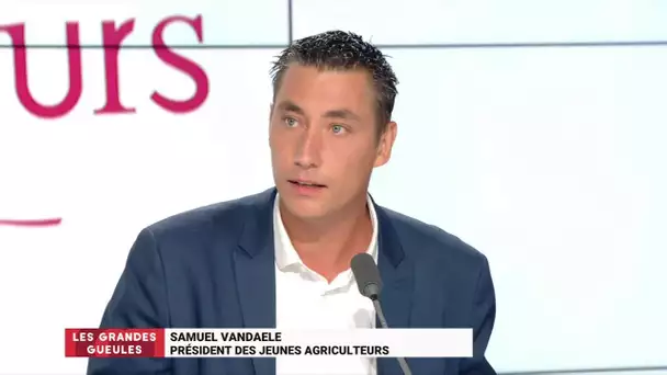 "Ce qui est interdit en France, ça ne doit pas rentrer, basta !" selon Samuel Vandaele