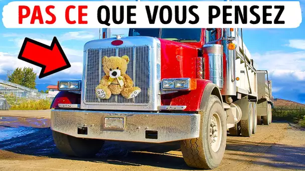 Pourquoi certains camions ont des animaux empaillés à l'avant et plus de 20 faits amusants