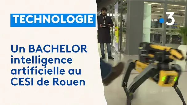 Rencontre avec les étudiants du BACHELOR intelligence artificielle au CESI de Rouen