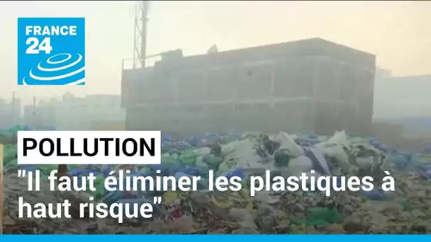Pollution plastique : "Il faut éliminer les plastiques à haut risque" • FRANCE 24