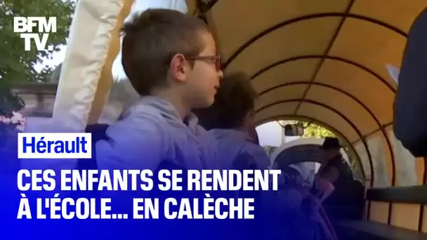 Dans l’Hérault, ces enfants vont à l’école… en calèche