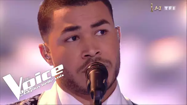 Edith Piaf - La vie en rose | Pierre Danae | The Voice 2019 | Final