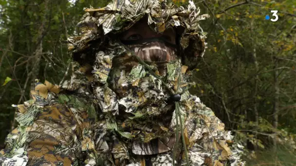 Brame du cerf : en immersion avec un photographe en forêt de Chaux dans le Jura