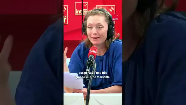 "Guerre du feu" : la France a-t-elle les armes pour se protéger ?