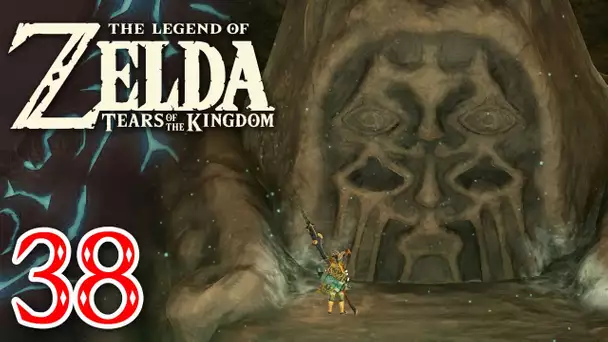 Zelda Tears of the Kingdom #38 | Les yeux de l'ancien dieu